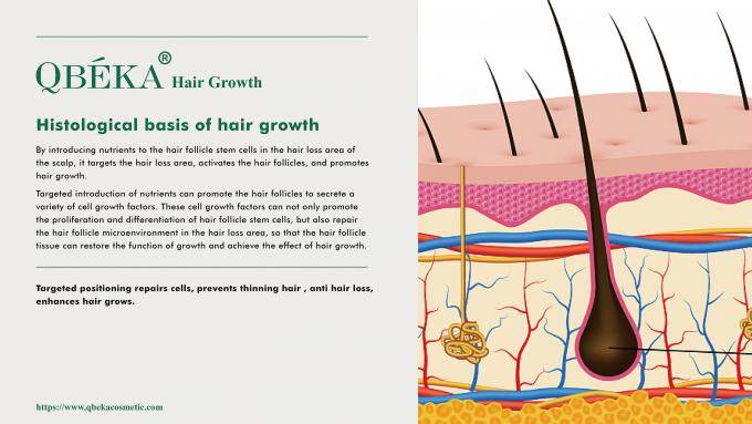 GMPC Standard Shampoo для профилактики выпадения волос для лечения выпадения волос и истончения 80м 2